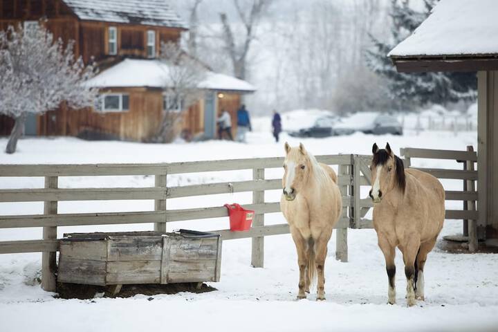 Casia Lodge and Ranch