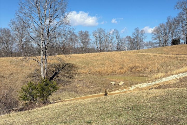 Newly Listed-Private 25-Acre Escape Near Red River Gorge