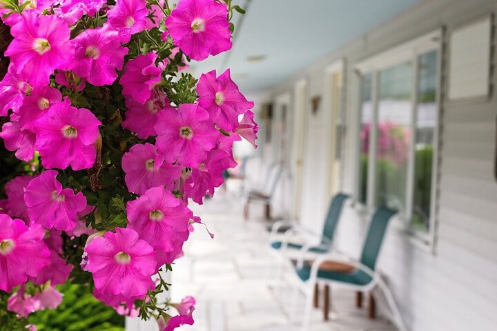 The Palmer House Resort an Ascend Collection Hotel