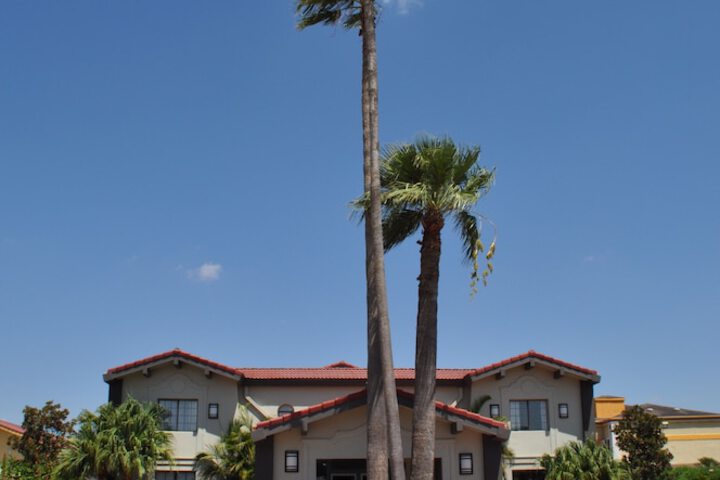 Quality Inn Harlingen