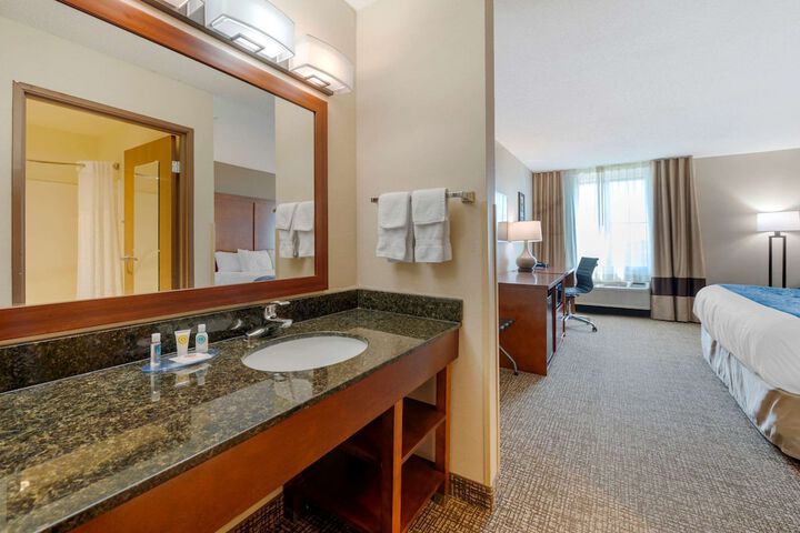 Comfort Inn Anderson South