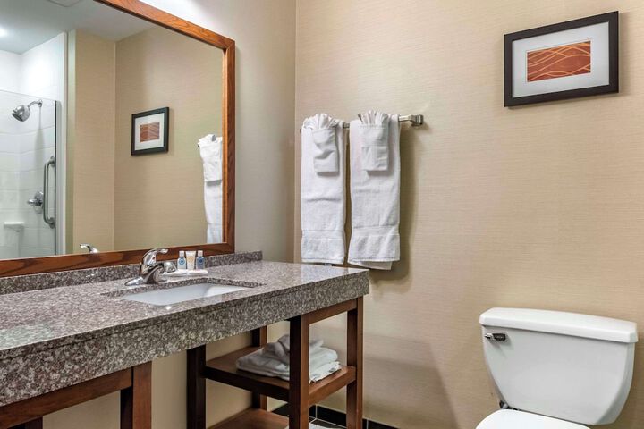 Comfort Inn Williamsport