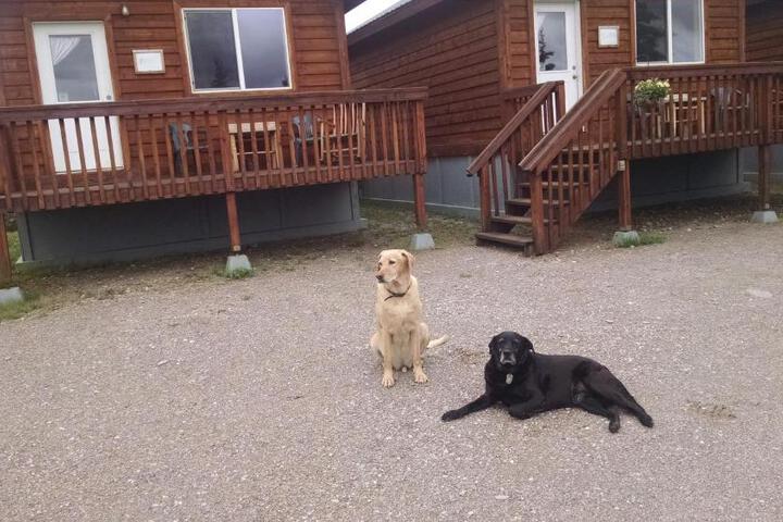 Denalis Alaskan Spruce Cabins
