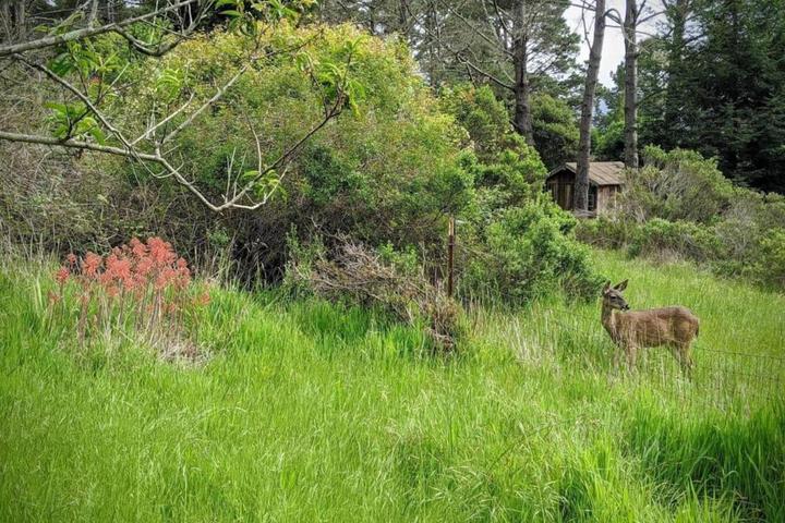 The Quails Nest Retreat