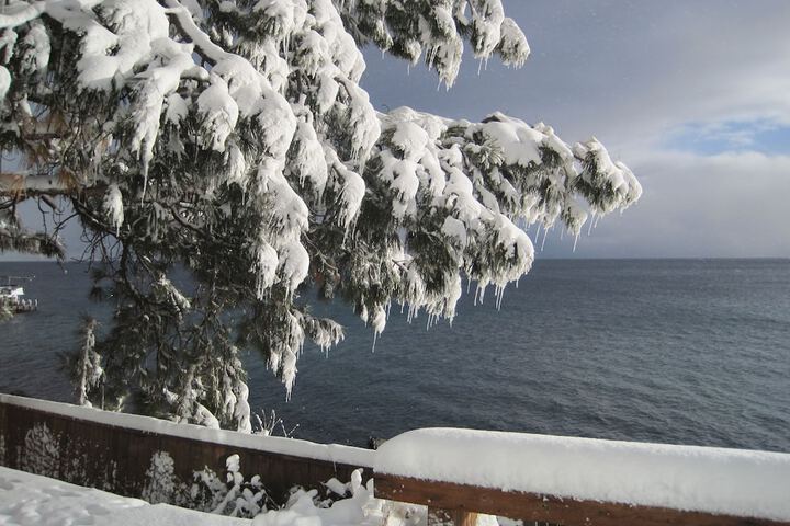 Holiday House