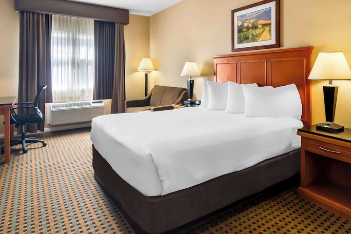 Best Western Plus Osoyoos Hotel & Suites