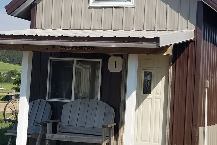 Suzies Camp