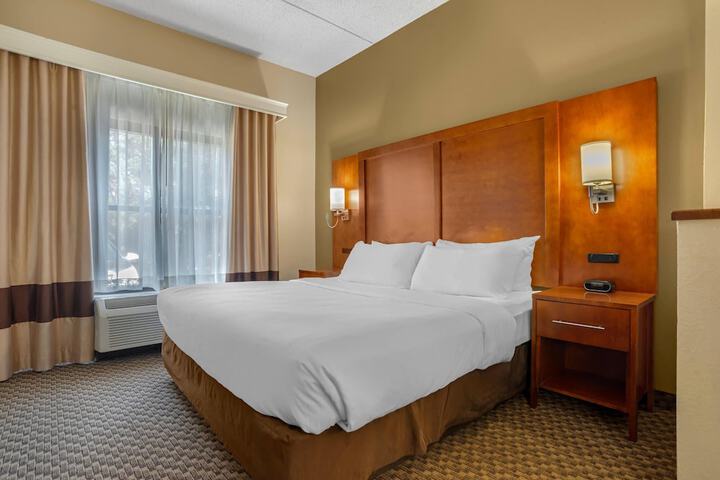 Comfort Suites Tallahassee Capitol - University Area