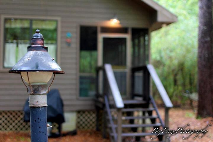 The Meadow Cabin