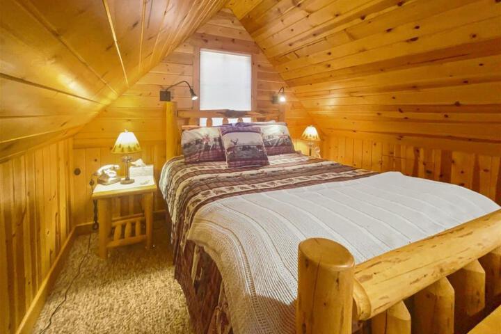 Metolius Cabin 4