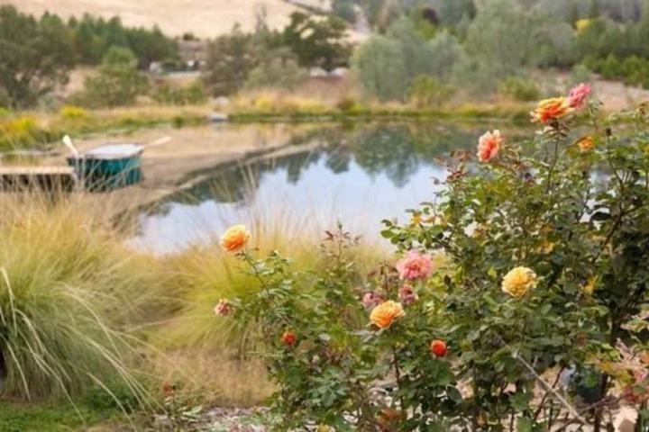 Eden Vale Inn
