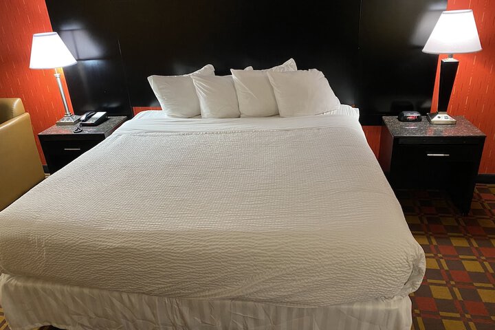 Room 5 of 29