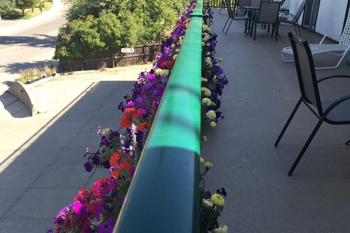 Terrace/Patio 58 of 59