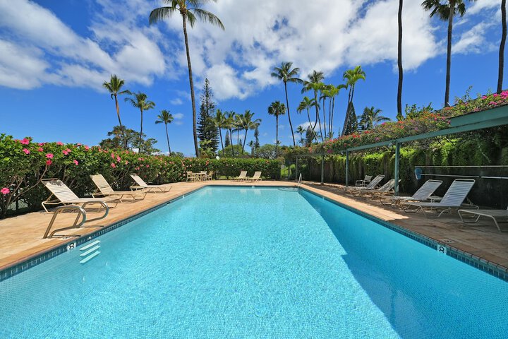 Pool 41 of 58