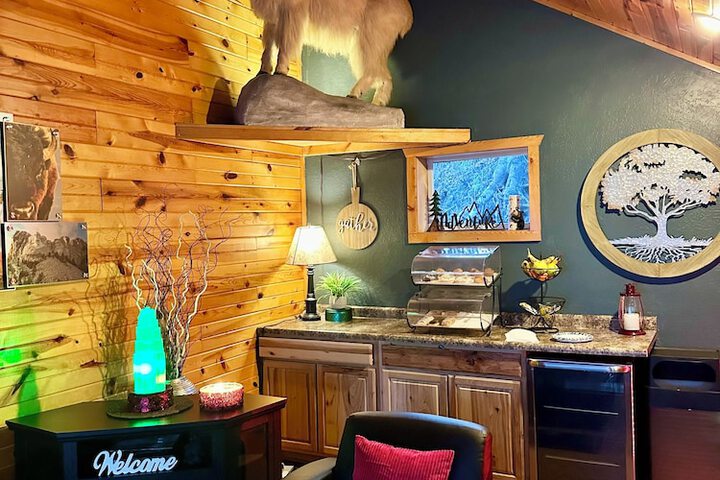 Mountain View Lodge & Cabins