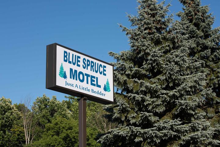 Blue Spruce Motel