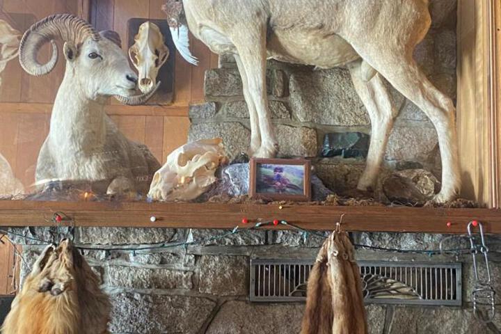 Tolsona Lake Lodge