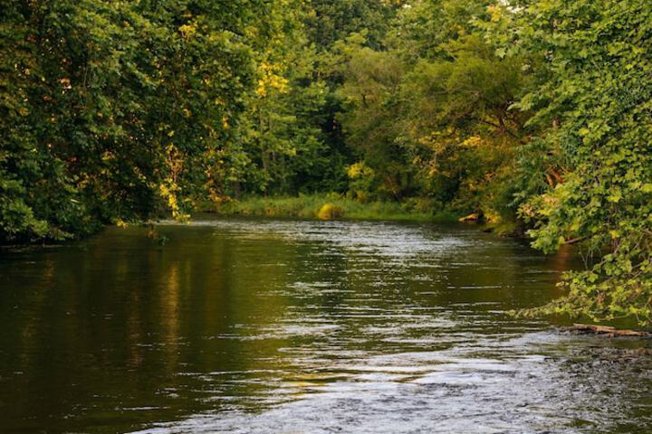 Battenkill Glamping Resort