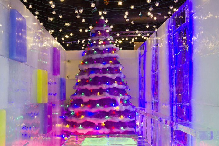 Moody Gardens Hotel Spa and Convention Center