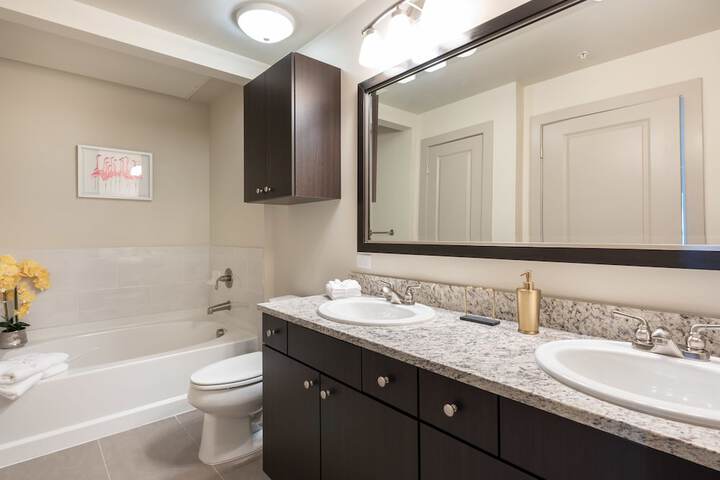 PDC Luxury Apartment Tysons Corner