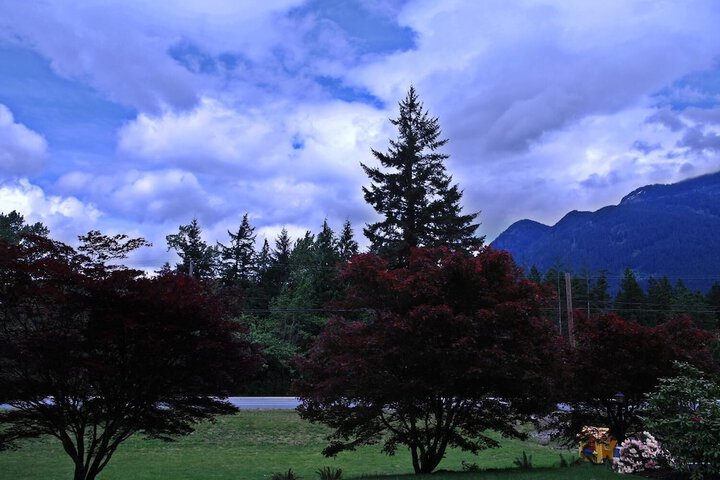 Property Grounds 30 of 30