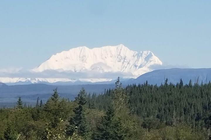 Denali Wild Stay