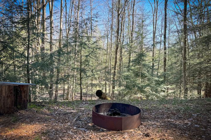 Boyers Pond Campground