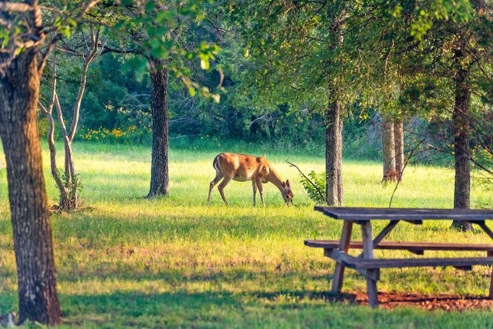 Pet-friendly Marble Falls Home w / Hot Tub!