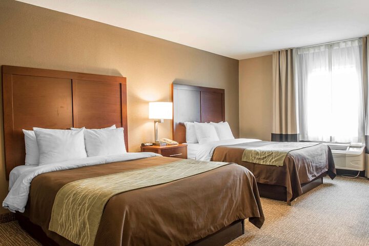 Comfort Inn Edinburg South