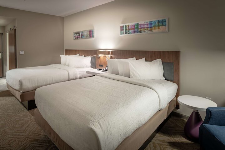 Hilton Garden Inn Dallas at Hurst Conference Center