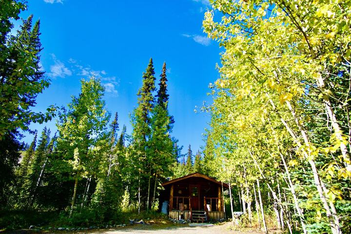 Carlo Creek Cabins