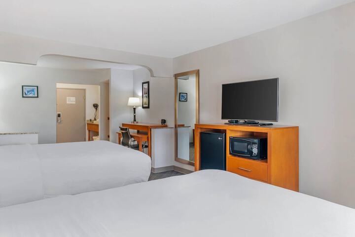 Comfort Suites Auburn Hills-Detroit