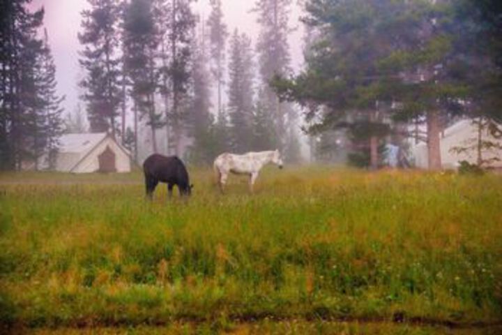 Bedroll and Breakfast Campground