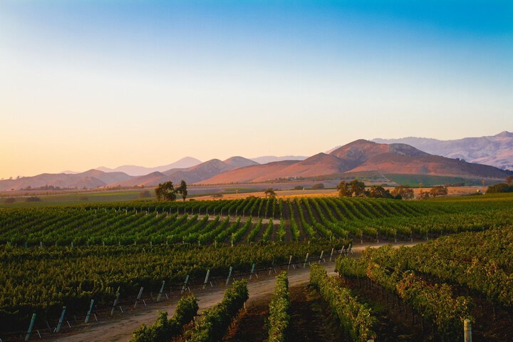 Appellation Healdsburg