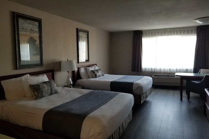 Room 15 of 24