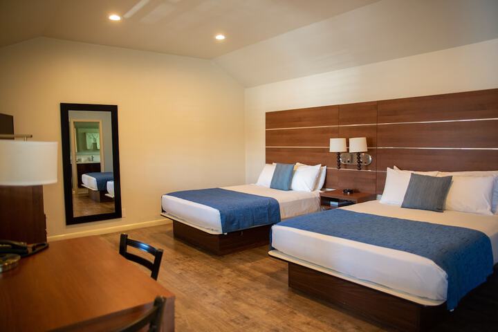 Room 21 of 51
