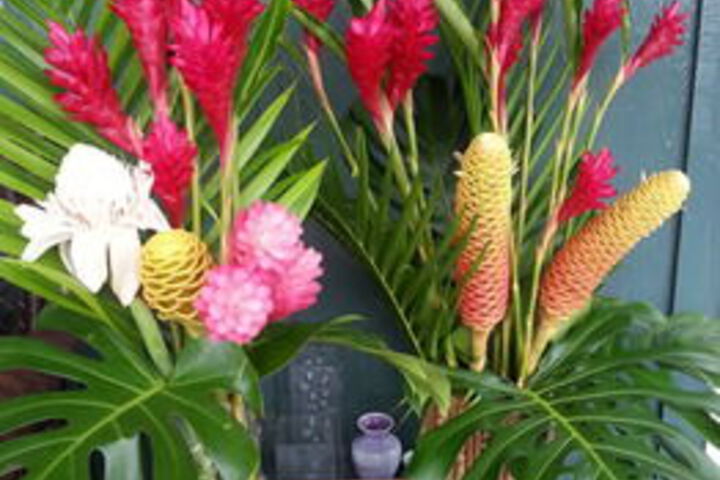 Hana Oceanfront Cottages