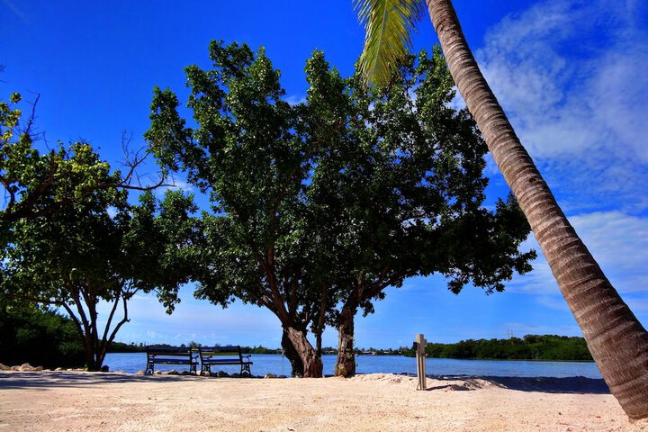 Beach 95 of 111