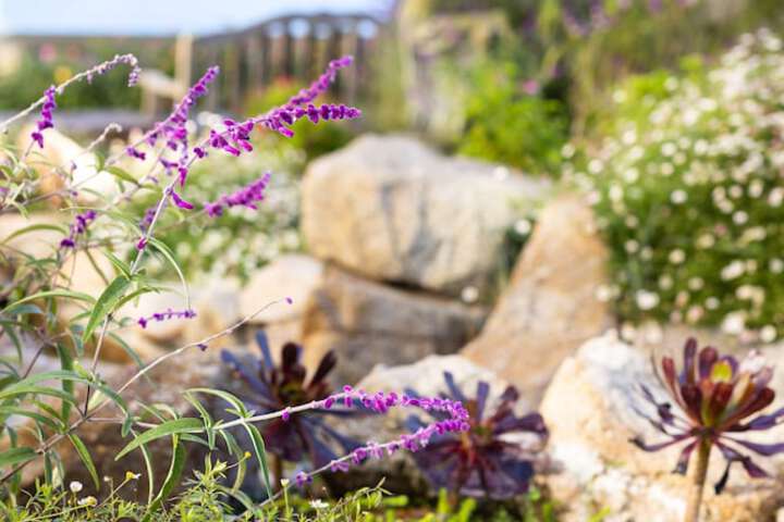 Seven Gables Inn on Monterey Bay a Kirkwood Collection Property