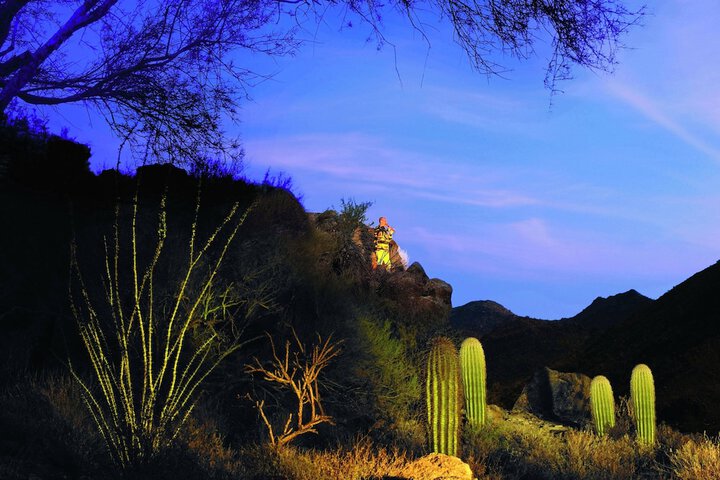 The Ritz-Carlton Dove Mountain