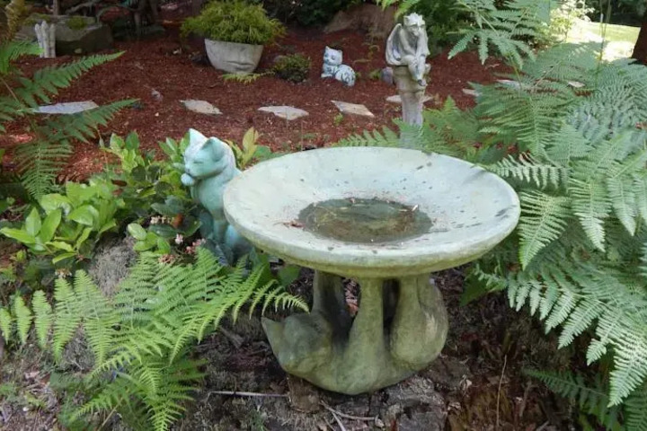 GREEN CAT GUEST HOUSE