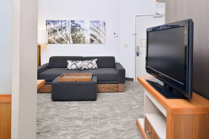 SpringHill Suites by Marriott Ashburn Dulles North