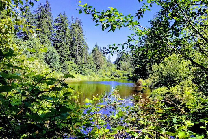 Mt Hood Village RV Resort