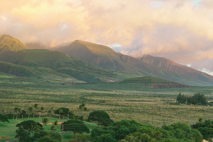 Hyatt Regency Maui Resort & Spa