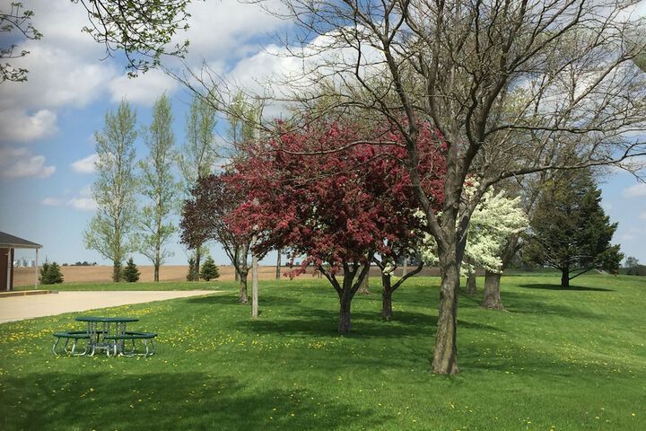 Property Grounds 172 of 175