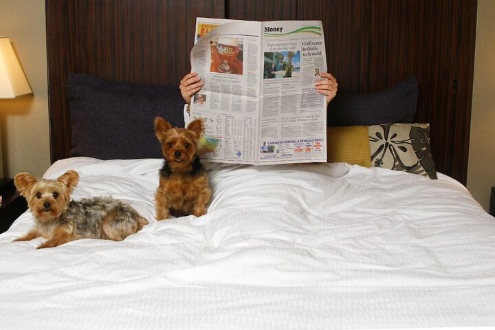 Pet Friendly 85 of 87