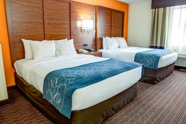 Comfort Suites Stevensville - St. Joseph