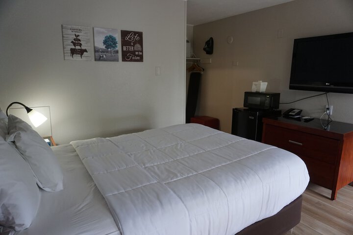 Room 33 of 65