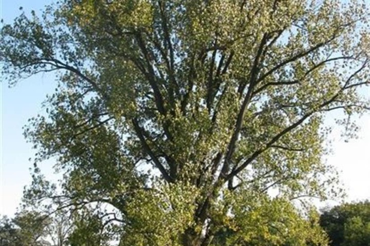 Timber Creek Bed & Breakfast