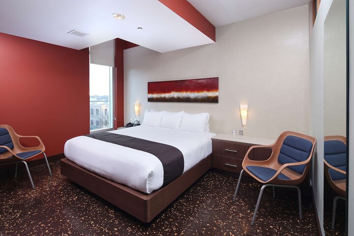 Tulyp Tapestry Collection by Hilton
